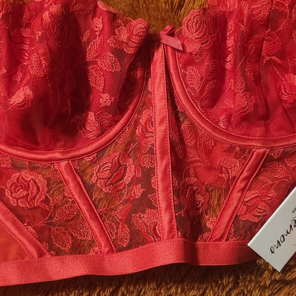 Elegant Red Lace Bustier